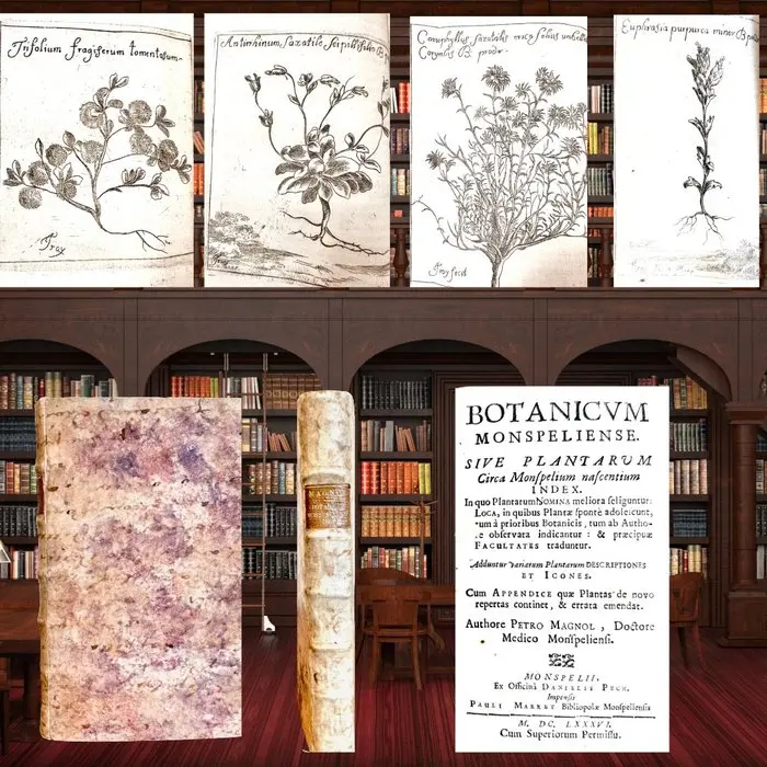 Magnol, Pierre - “Botanicum Monspeliense…” 22 illustrations by Jean de Troy