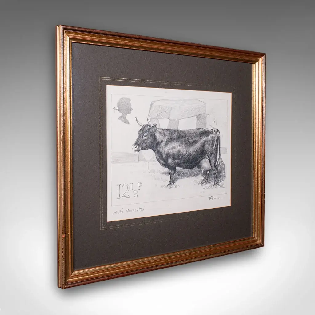 Vintage Irish Dexter Cow Proof, English, Framed Artist's Sketch, Barry Driscoll