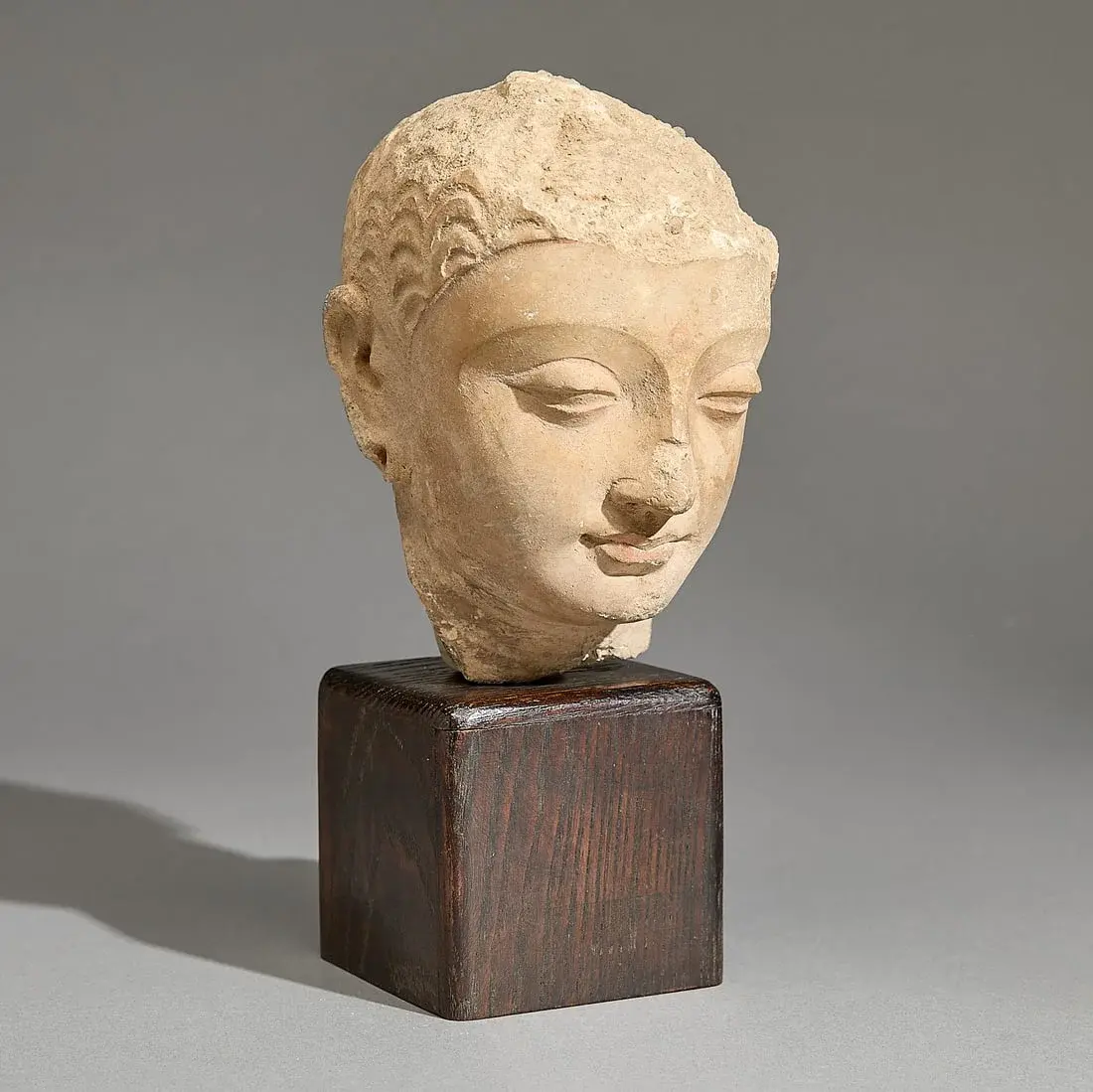 Ancient Gandharan Carved Stucco Head of Buddha