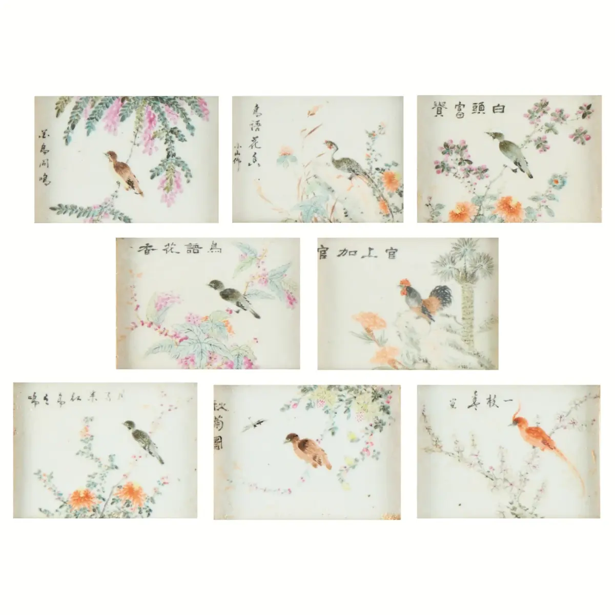 8 Chinese Qing Famille Rose Porcelain Bird Plaques