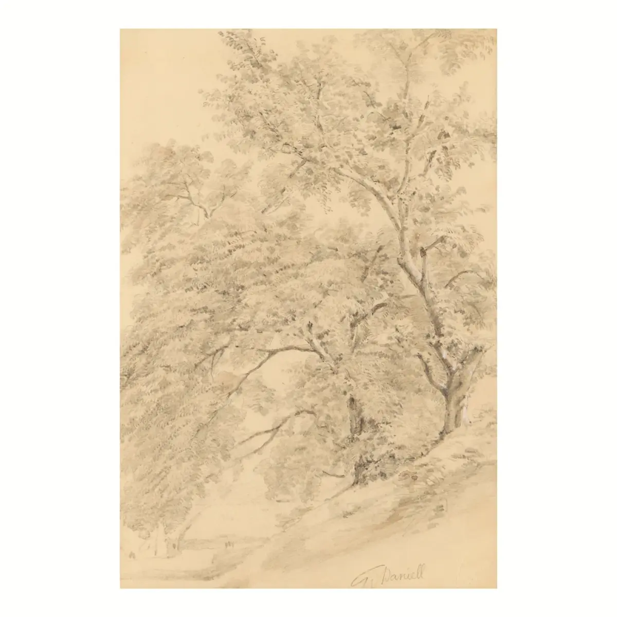 William Daniell Graphite Forest Landscape Drawing