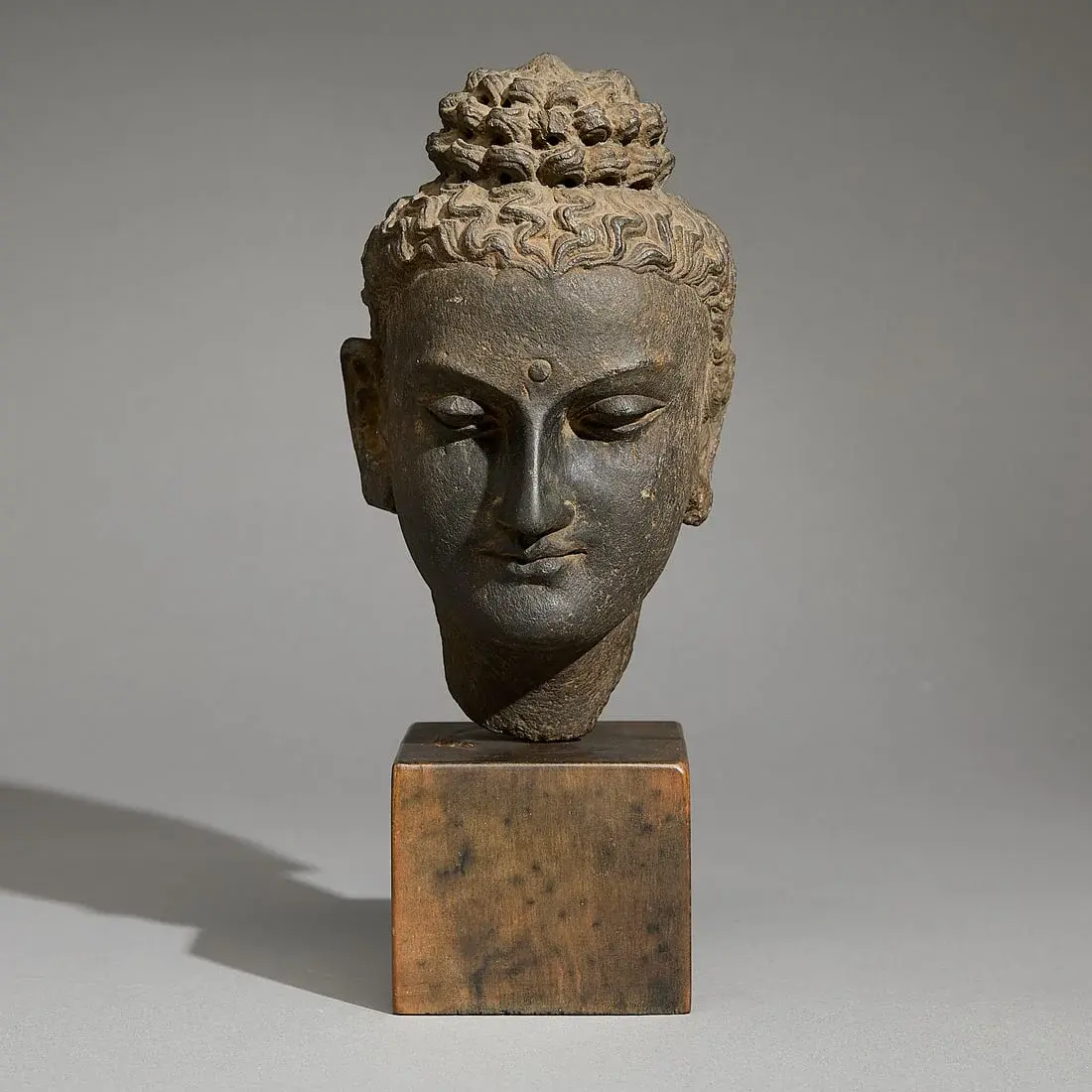 Ancient Gandharan Carved Schist Head of Buddha