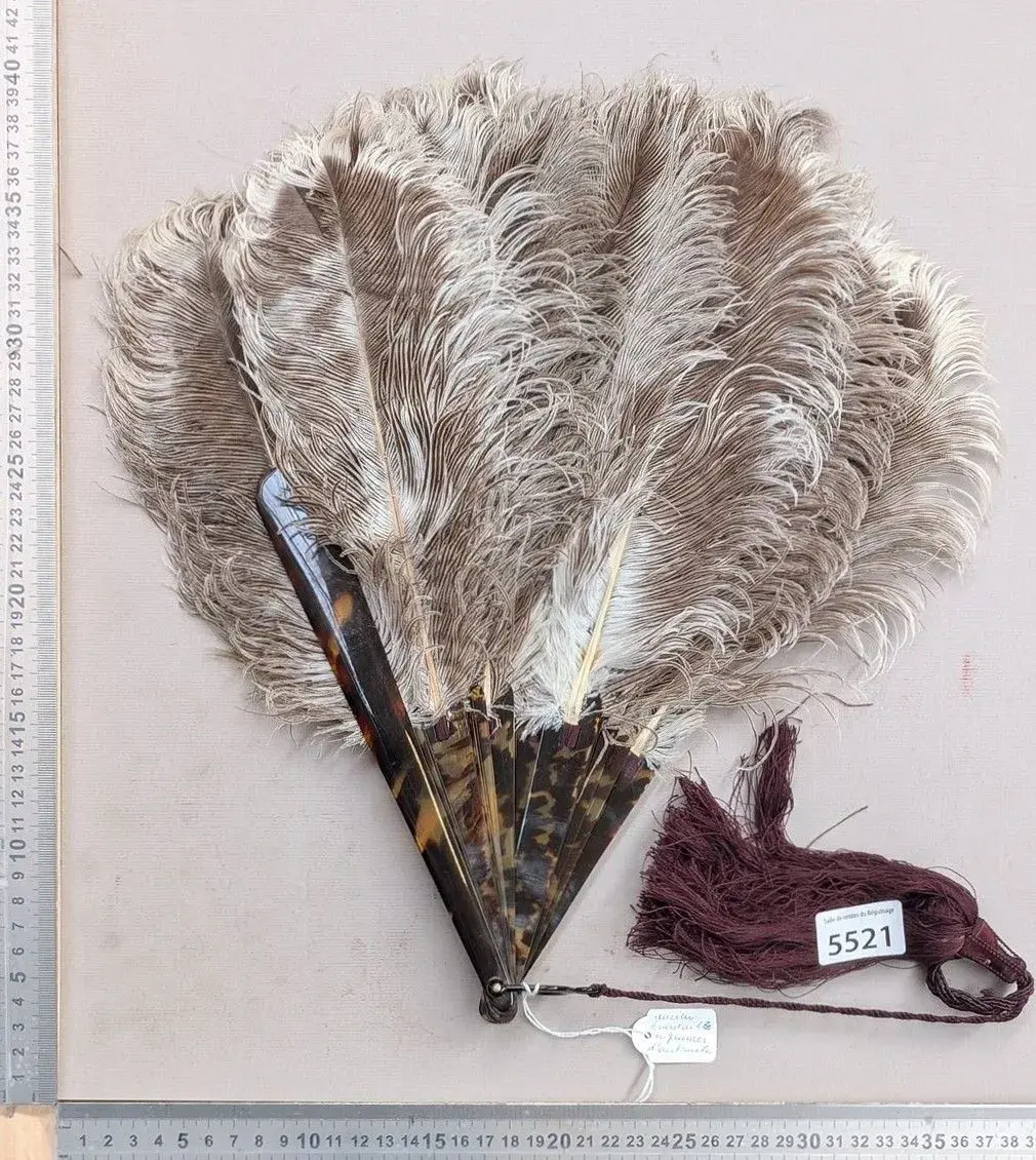 Ostrich-feather fan—See photos for dimensions and condition