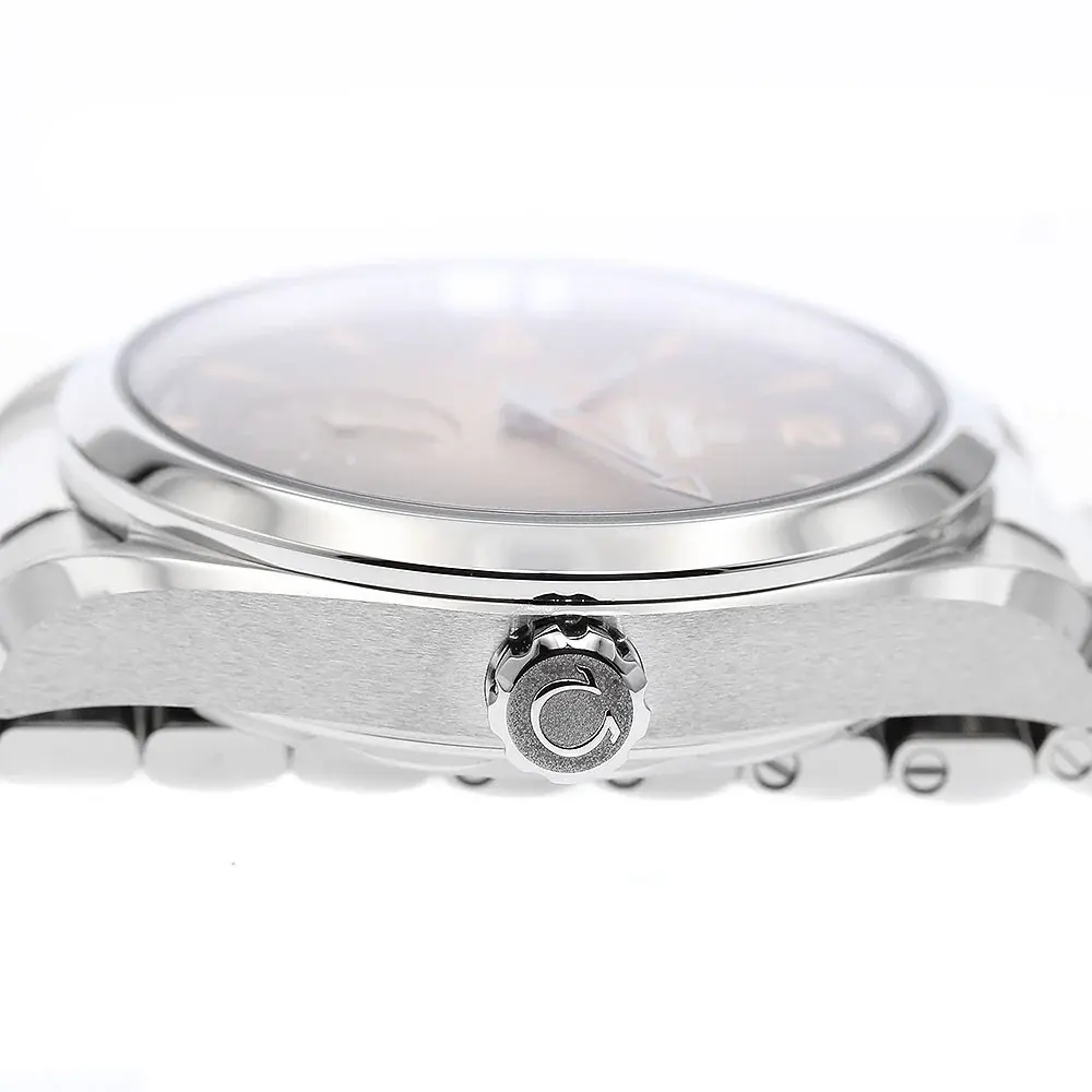 Omega Seamaster Railmaster beige with black gradient dial 38mm 23