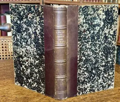 HAYES — Lost in the Ice, 1870 - Lot 118