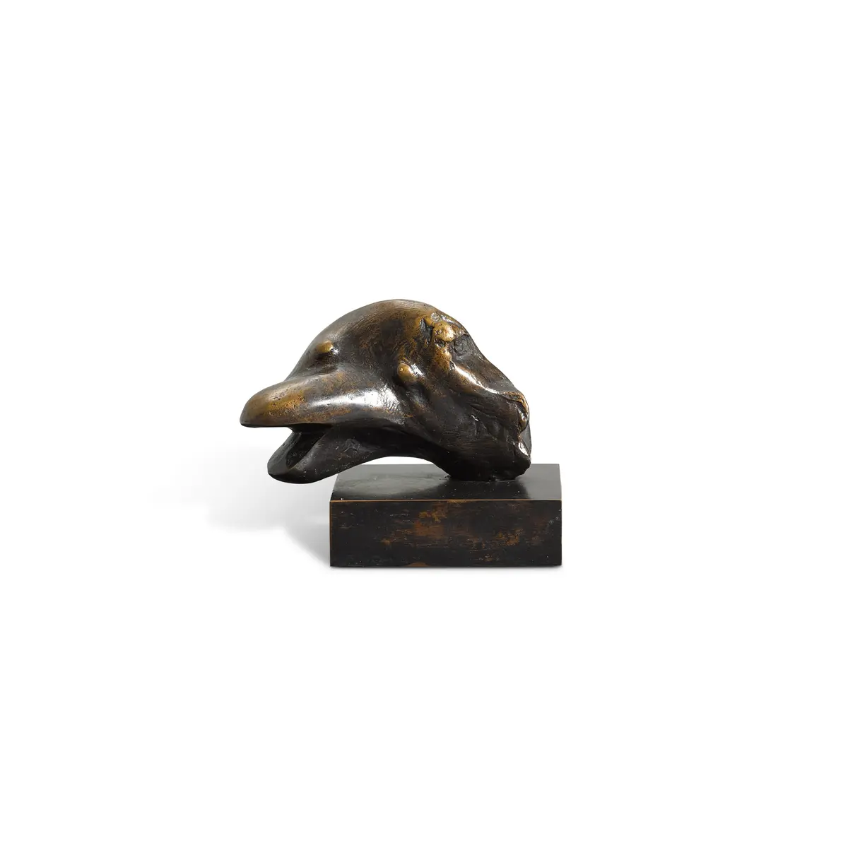 Animal Head: Open Mouth