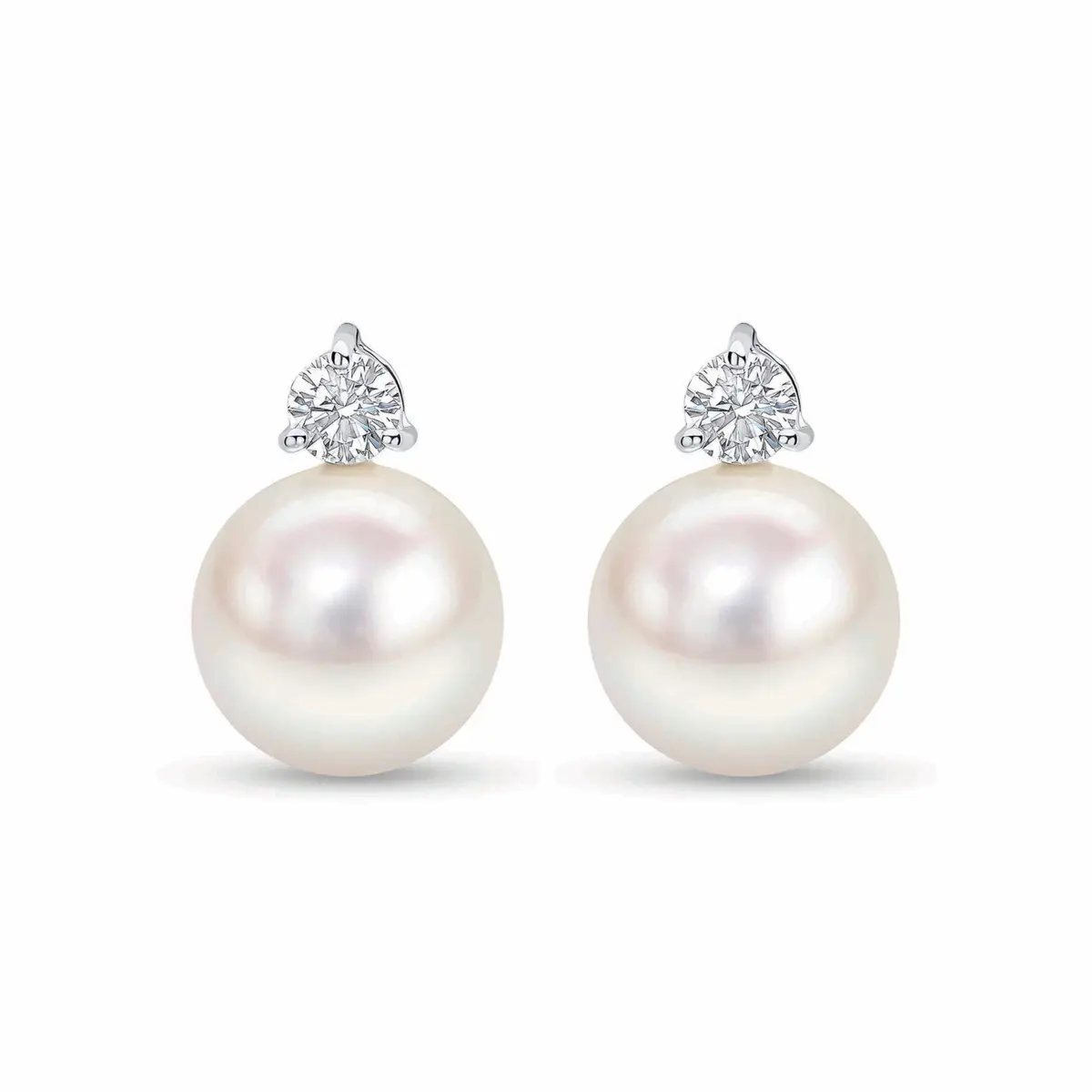White Gold, South Sea Cultured Pearl Diamond Classic Earrings