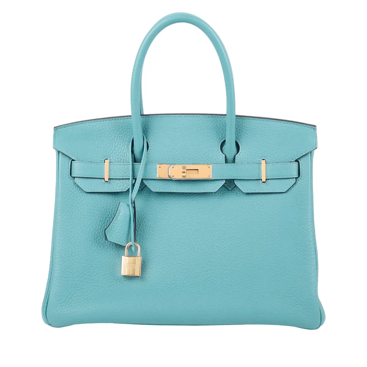 Bleu Saint Cyr Clemence Birkin 30 Gold Hardware, 2015