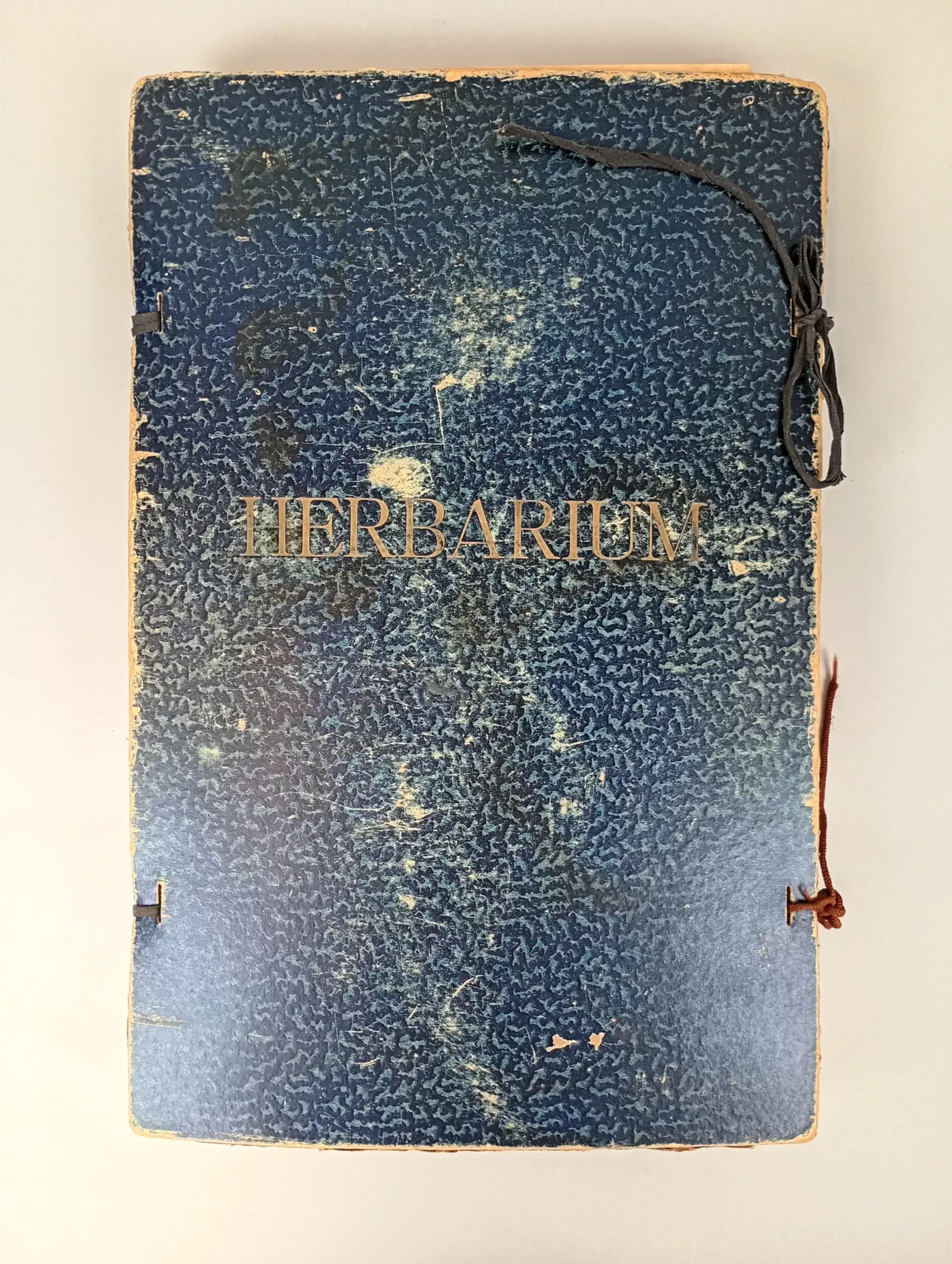 Herbarium