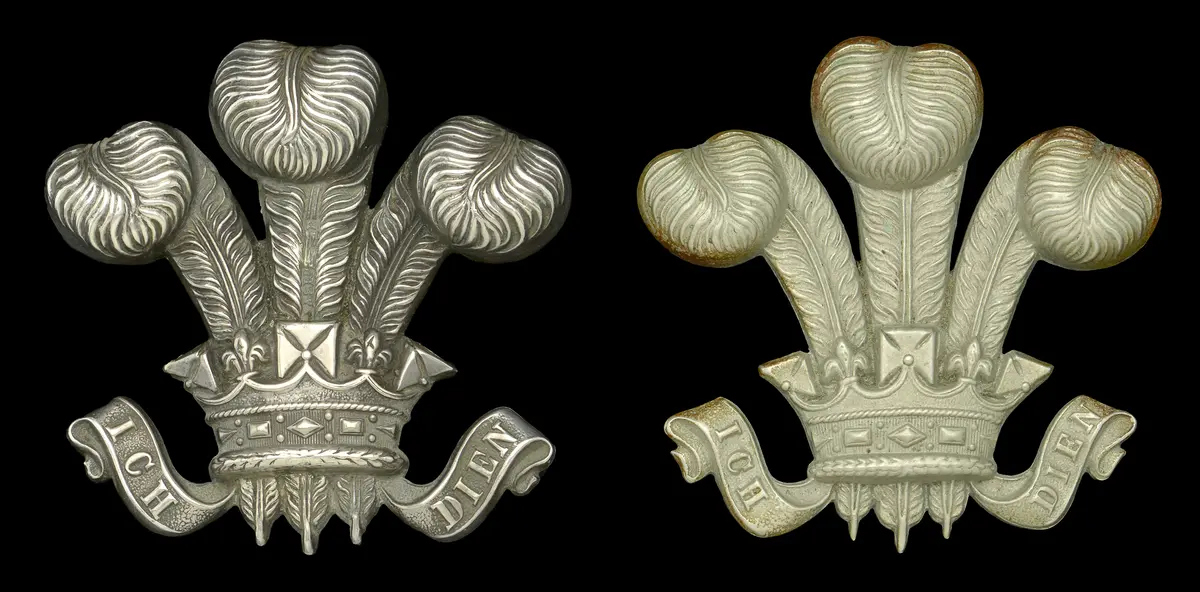 3rd (Prince of Wales’) Dragoon Guards, or 10th (Prices of Wales’ Own)