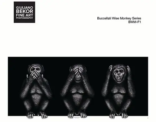 A Giuliano Bekor Fine Art Photography, Buccellati Wise Monkey BWM-F1