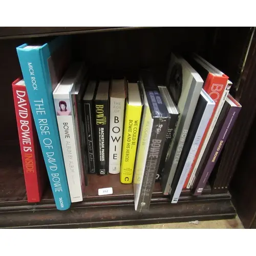 Quantity of David Bowie related books