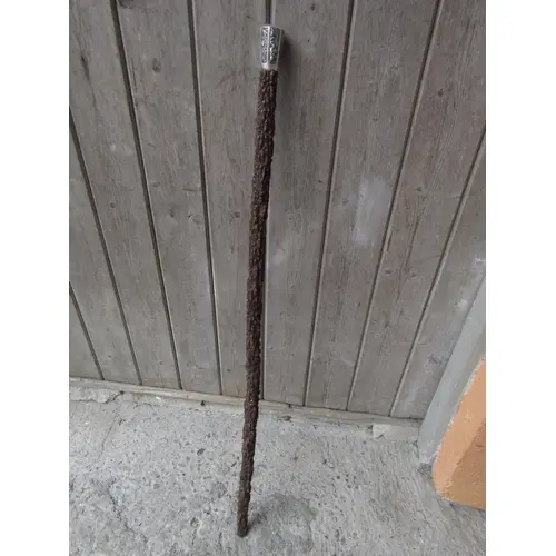 Antique Silver Handled Chinese Walking Stick Monkeywood Full...