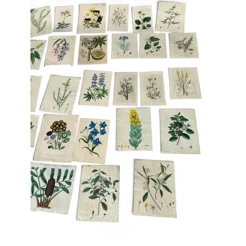 A COLLECTION OF BOTANICAL ENGRAVINGS (QTY)