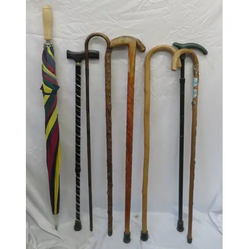7 Walking Stick & Golfing Umbrella (8)