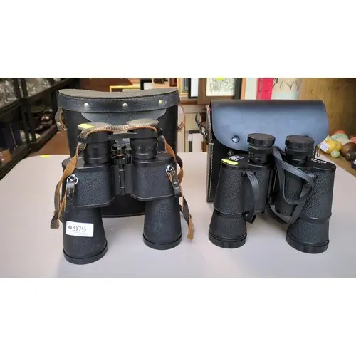 Two pairs of binoculars: Soviet Tento 7×50 and Mark Scheffel...