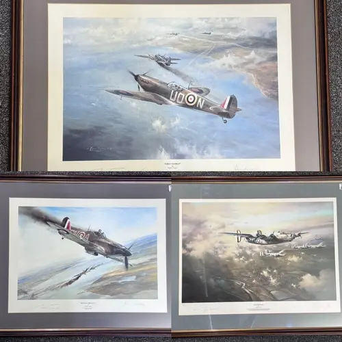 After Robert Taylor, 'First Combat', Battle of Britain Aces ...