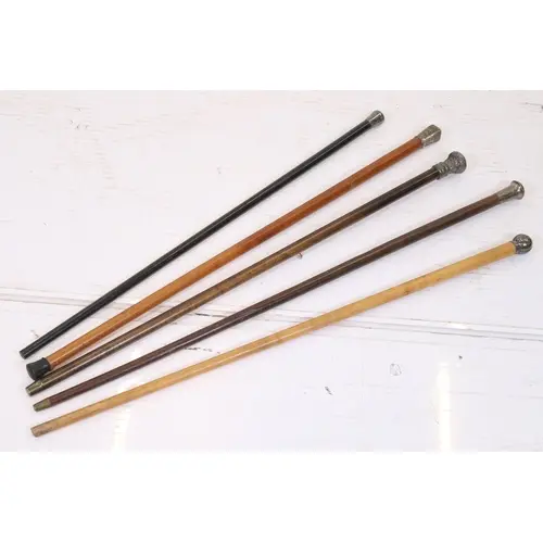 Group of five antique walking sticks, each with white metal ...