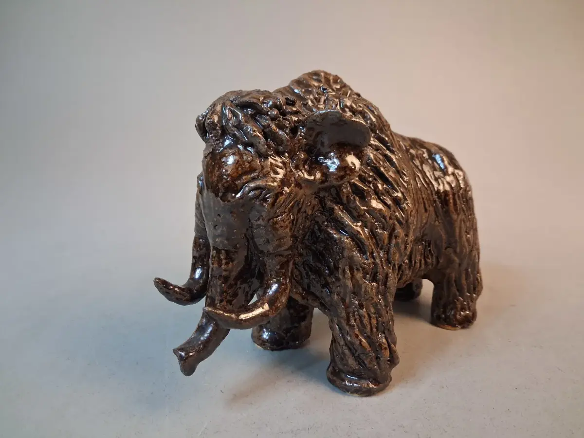 Bisonoxe, lergods. Tung, Oidentifierad.