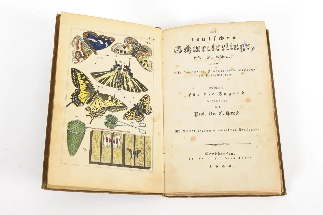 HEROLD, E, HEROLD, E, HEROLD, E, "A Systematic Description of German