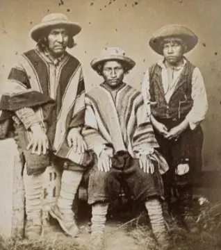 Dammann - Races of Men