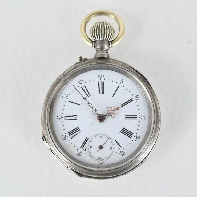 Fickur, Silver