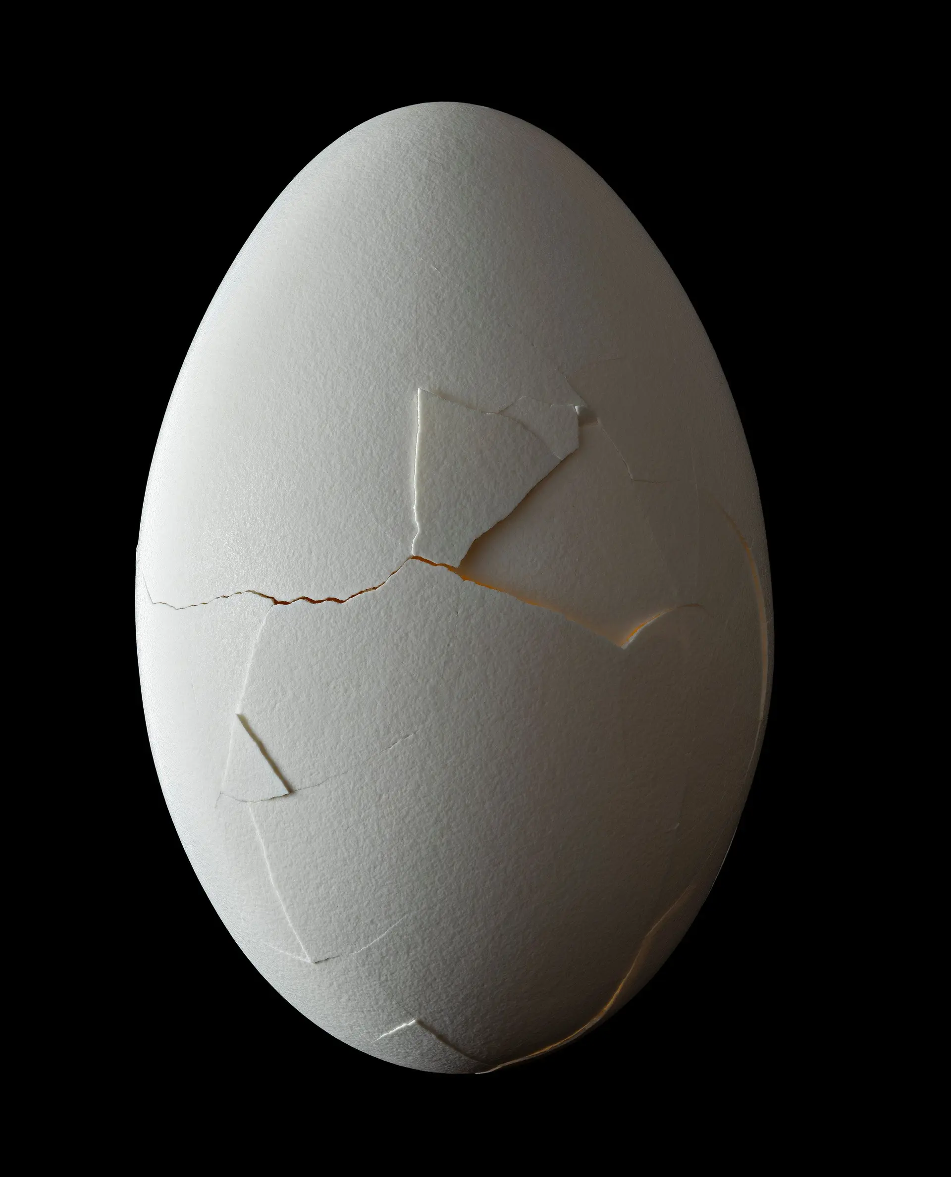 NATHALIA EDENMONT, Out of the Sacred Round, 2025