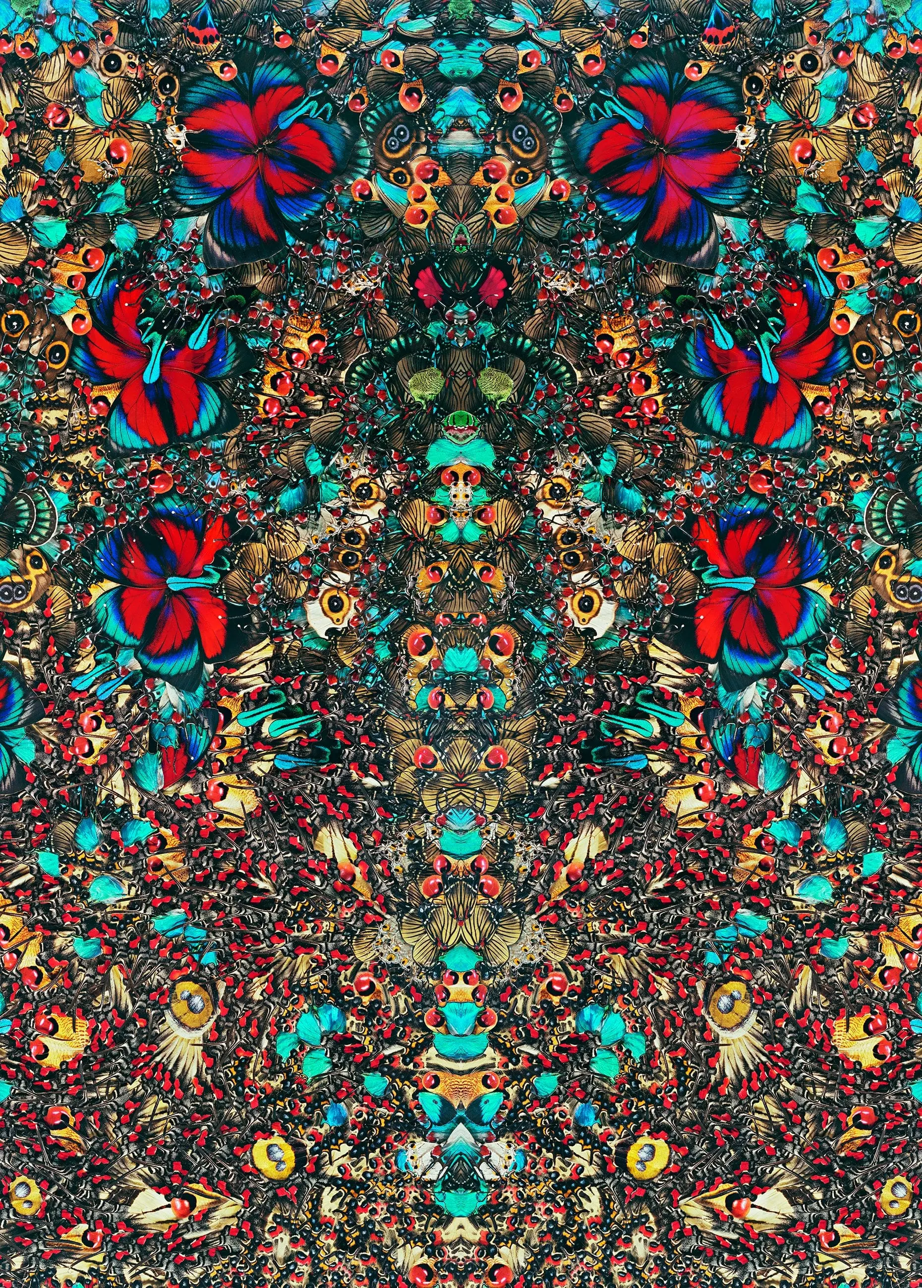 NATHALIA EDENMONT, Sacral Tree, 2022