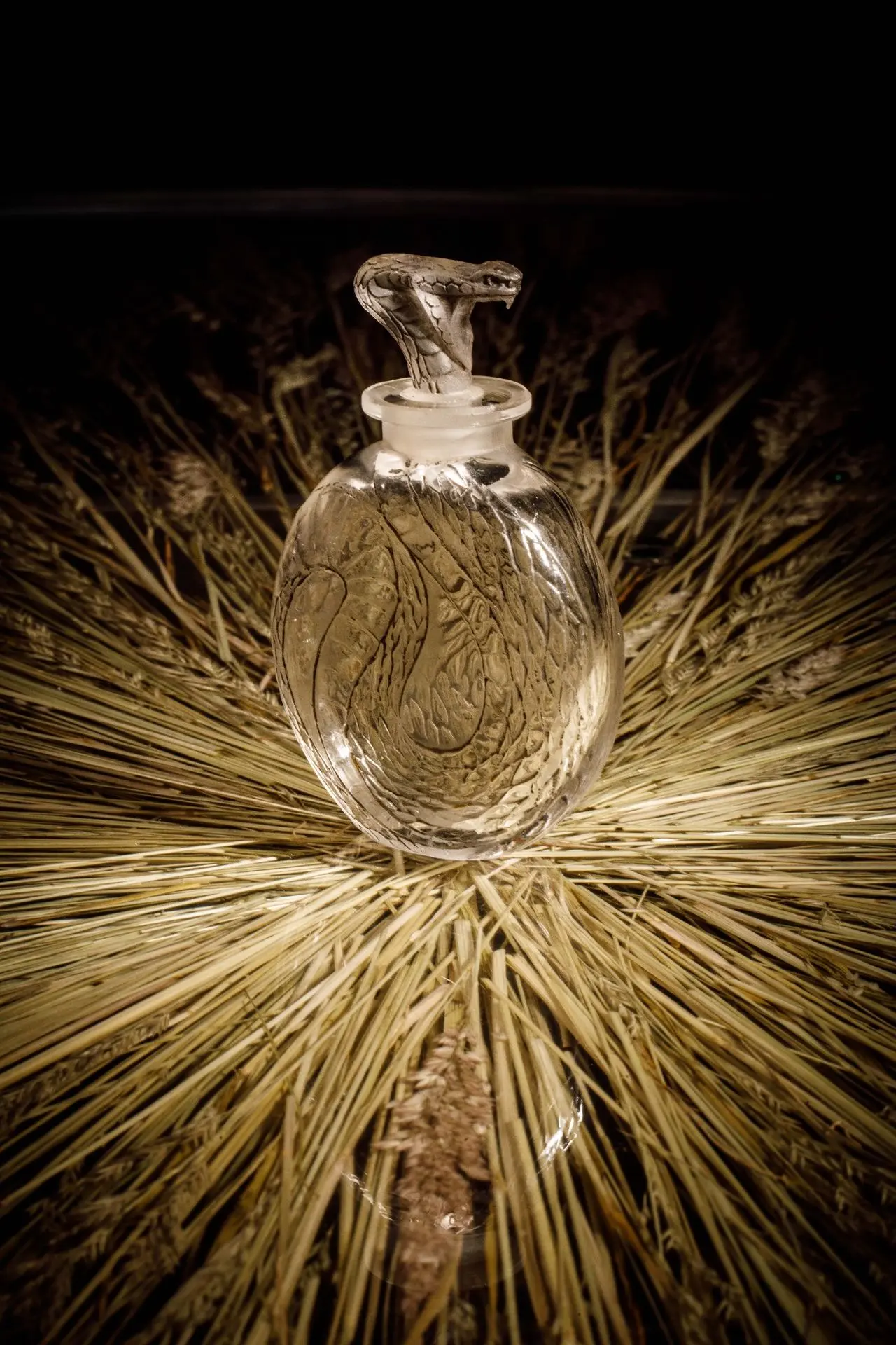 [ARTIFICIALIA] - Lot 100