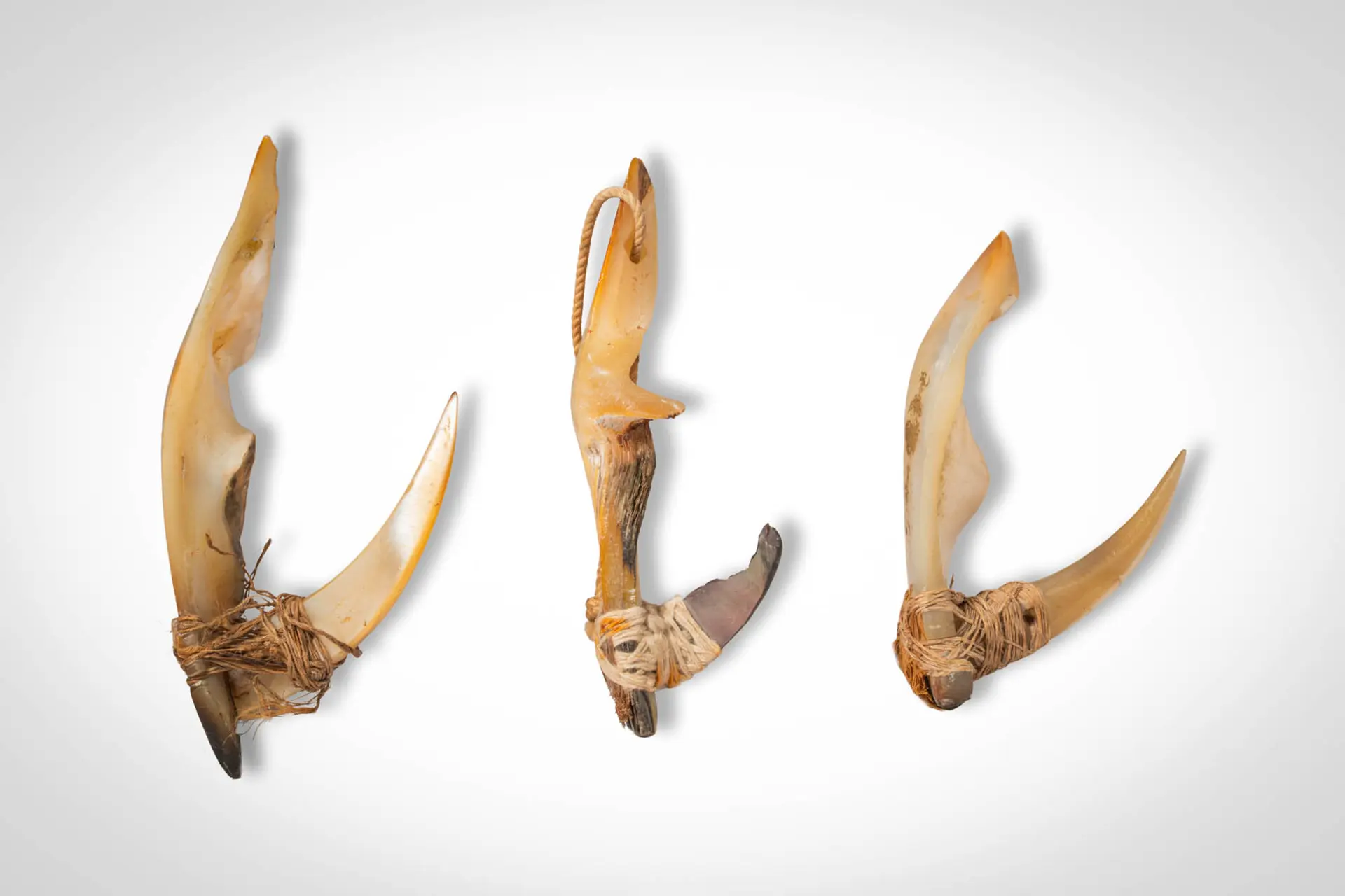 GROUP OF MARSHALL ISLAND FISH HOOKS