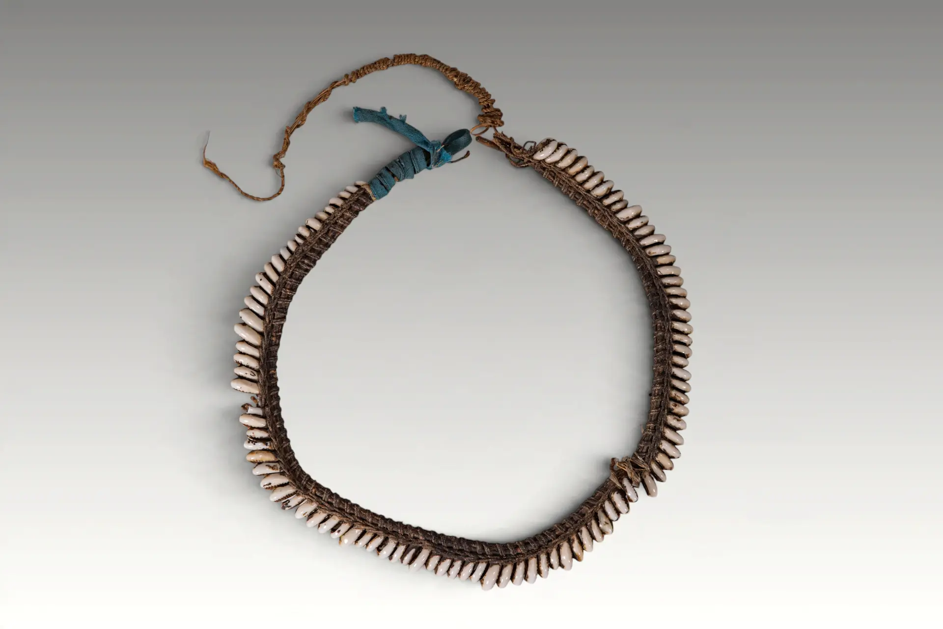 PAPUA NEW GUINEA SHELL NECKLACE