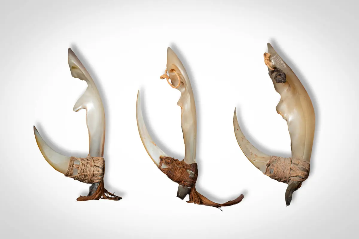 GROUP OF MARSHALL ISLAND FISH HOOKS