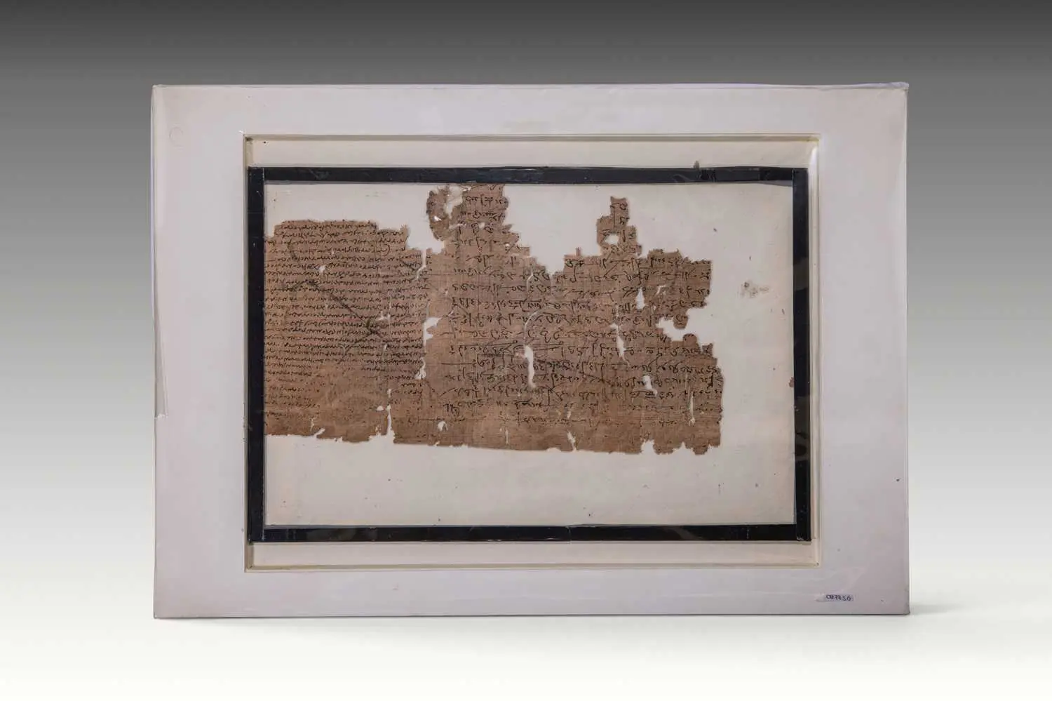 EGYPTIAN OXYRHYNCHUS PAPYRI