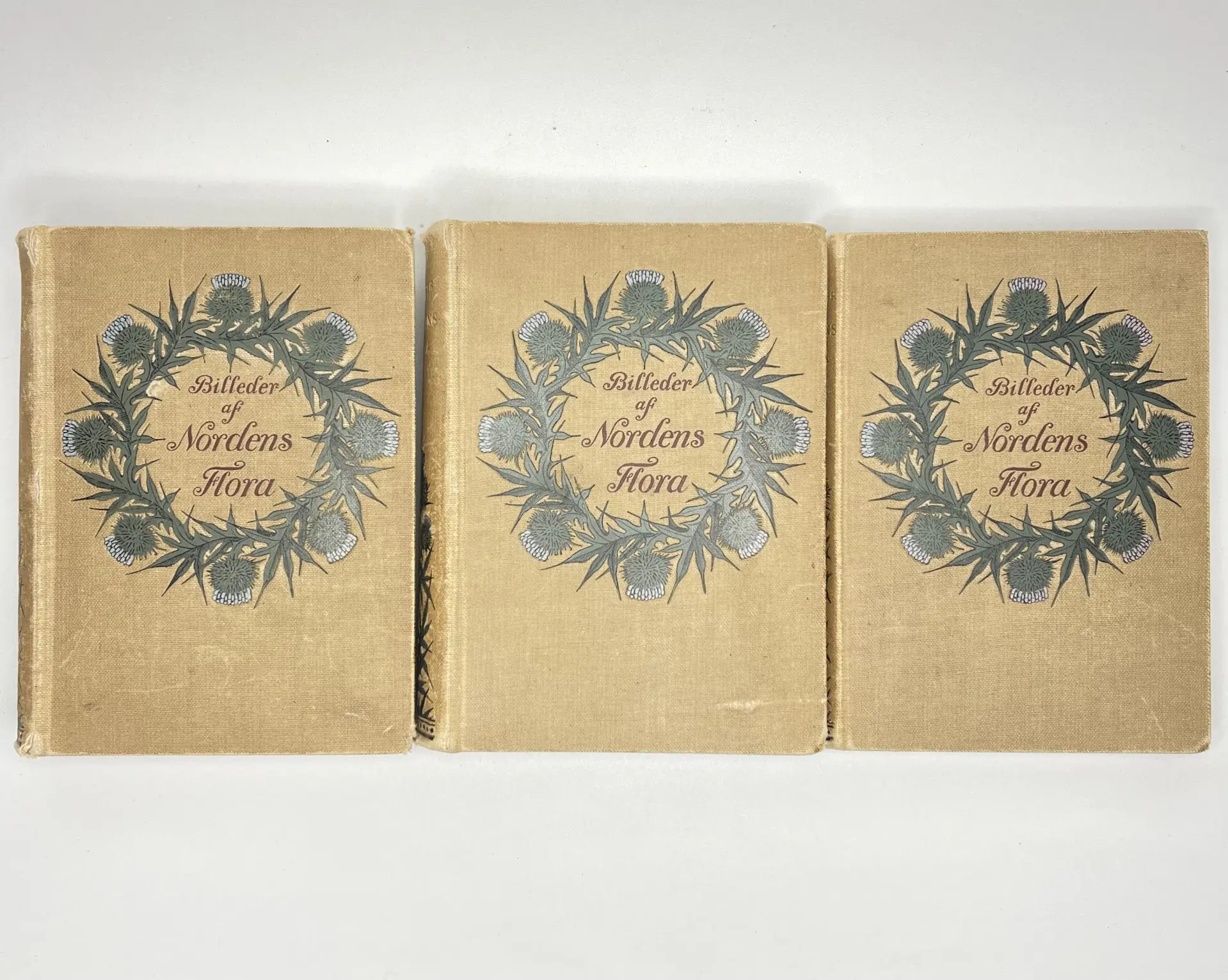 A. Mentz & C.H. Ostenfeld (1901–1906) Komplett sett, Billeder af Nordens Flora