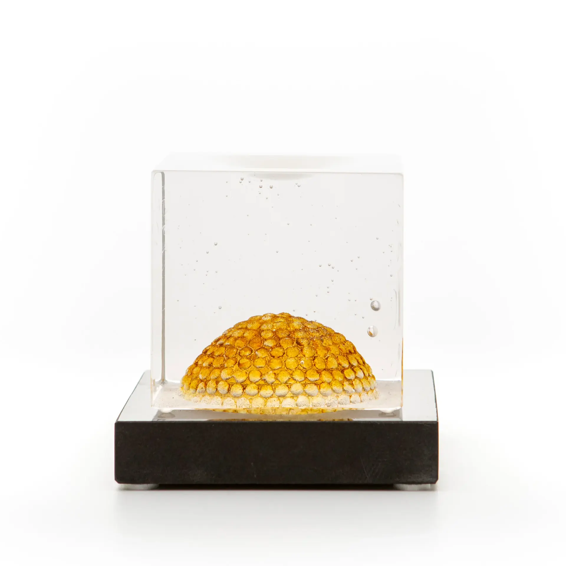Bertil Vallien - Dome