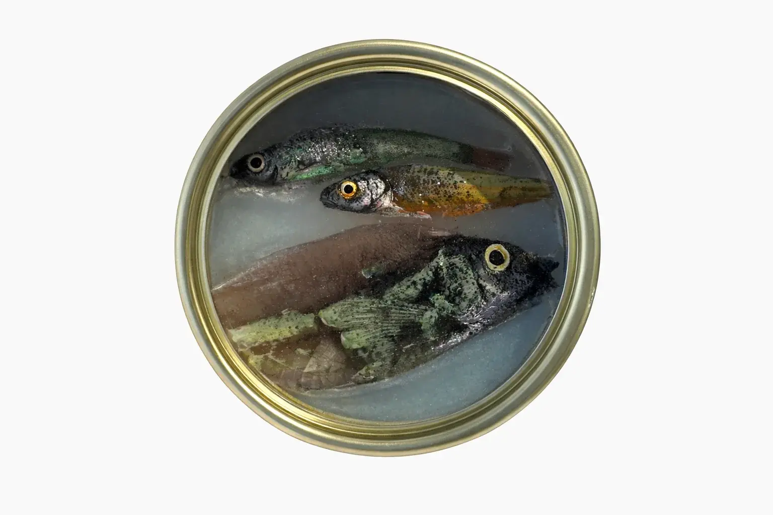 Ortaire de Coupigny - Gems of The Ocean XXXVII