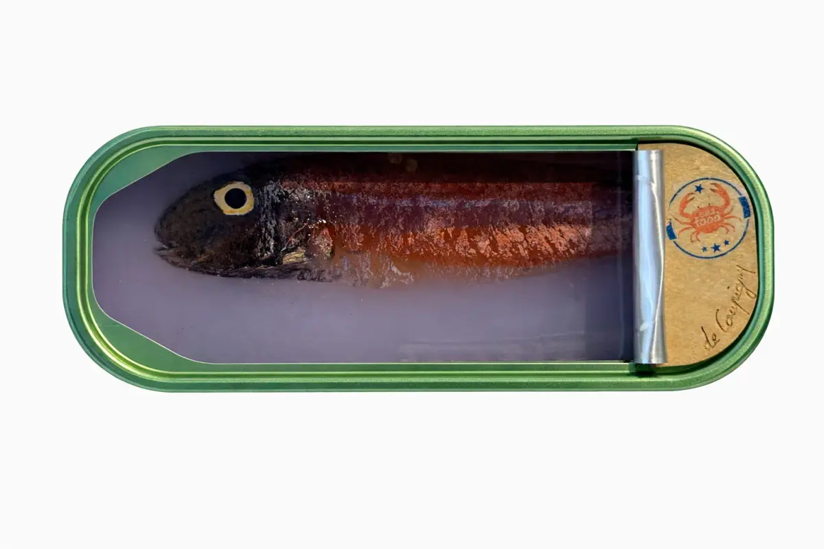 Ortaire de Coupigny - Gems of The Ocean XXXI