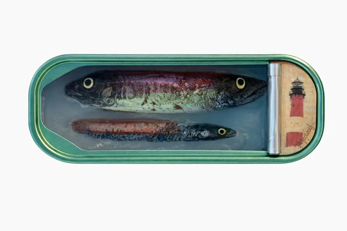 Ortaire de Coupigny - Gems of The Ocean XXXIV