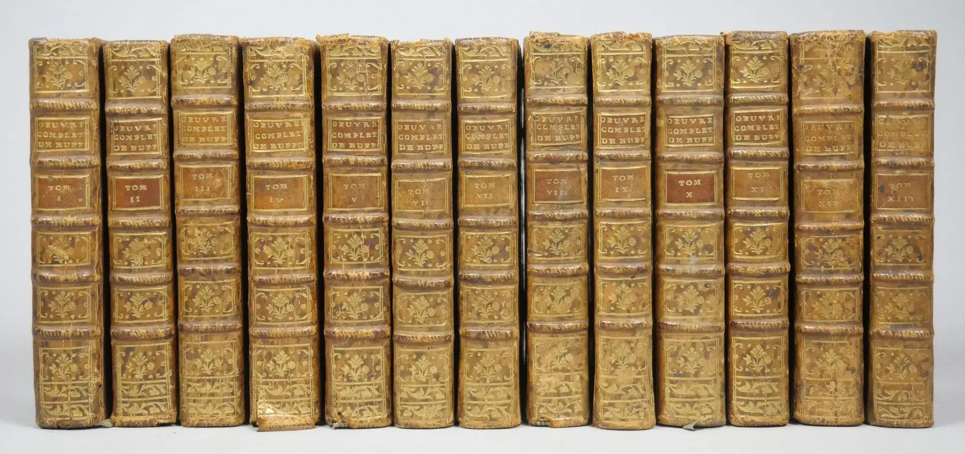 BUFFON. Set of 13 volumes. - Lot 72