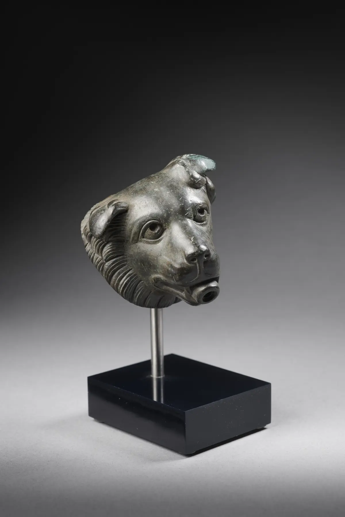 A Roman bronze head of a molossian hound
