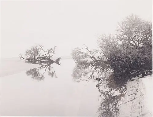 Jack Leigh, Ossabaw, Silver Gelatin, Estate Print