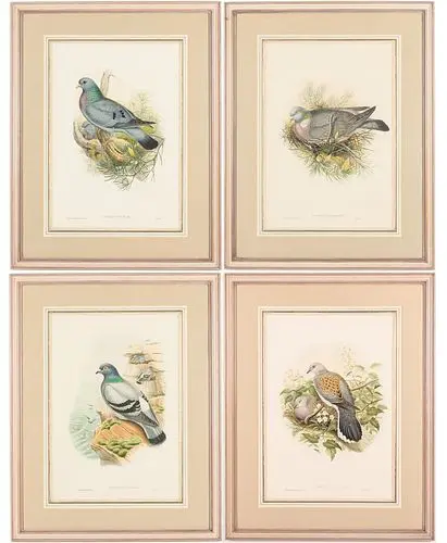 John Cloud & H.C. Richter, 4 Bird Engravings, 19th C