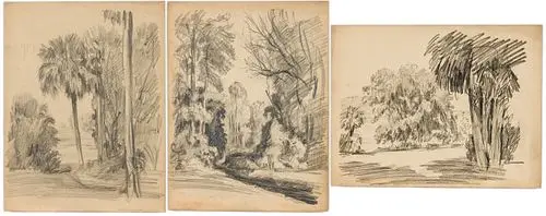 Christopher Murphy Jr., 3 Nature Sketches