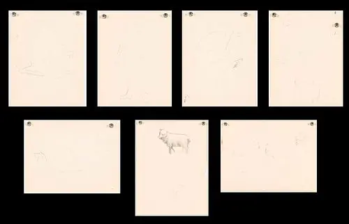 Augusta Oelshig (Sav, 1918-2000), 6 Figure Sketches