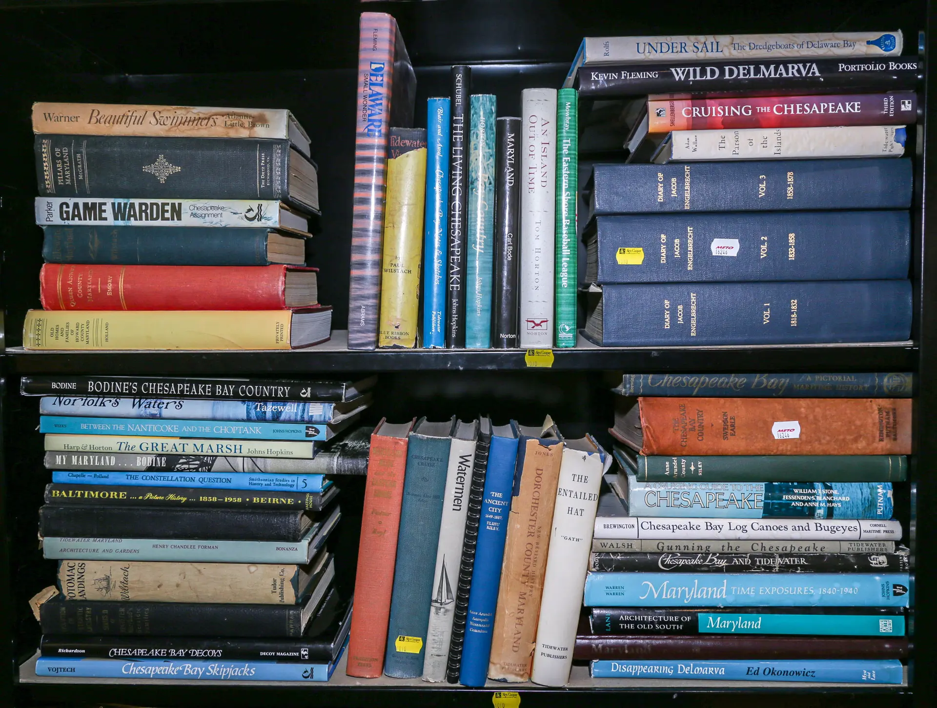 An Assortment of Books on Chesapeake Bay