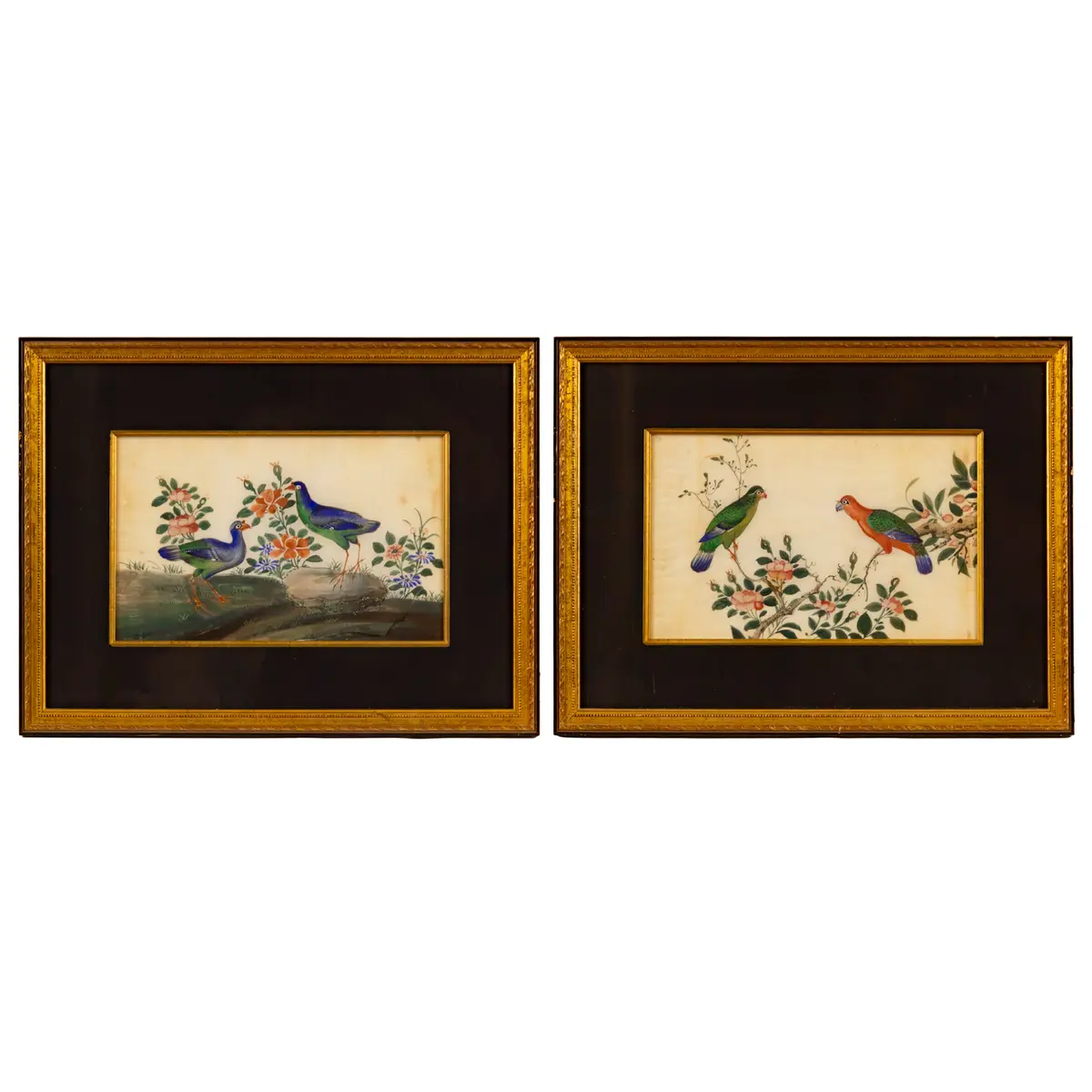 A Pair of Chinese Export Ornithological Gouaches