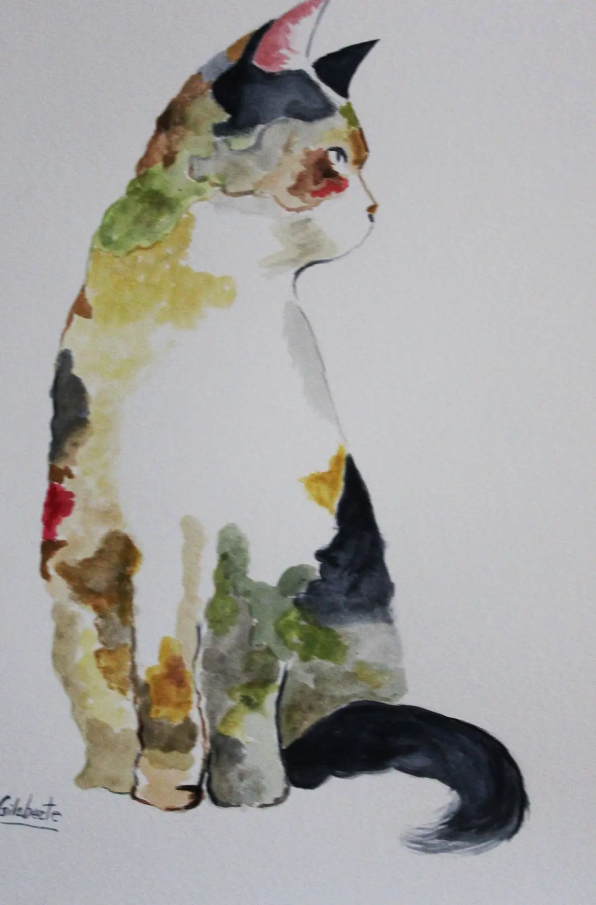 Cat, artwork by Mercedes Gilaberte