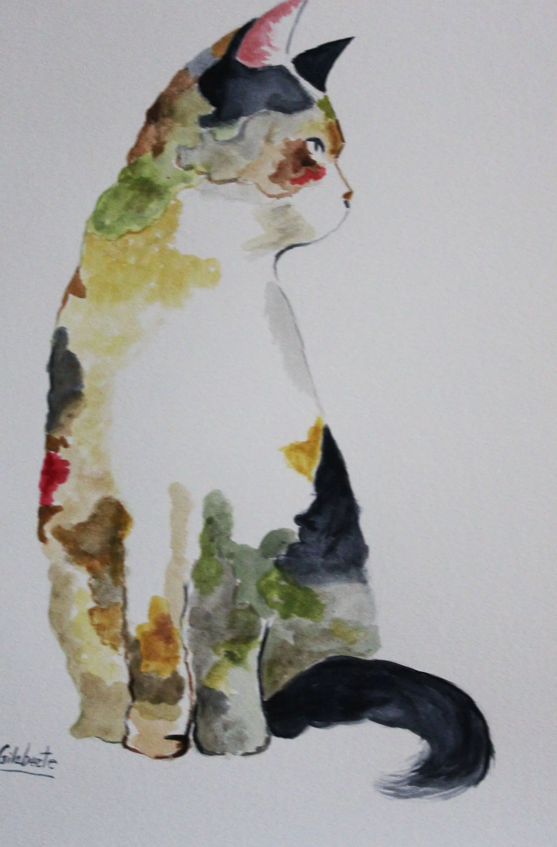 Cat, artwork by Mercedes Gilaberte