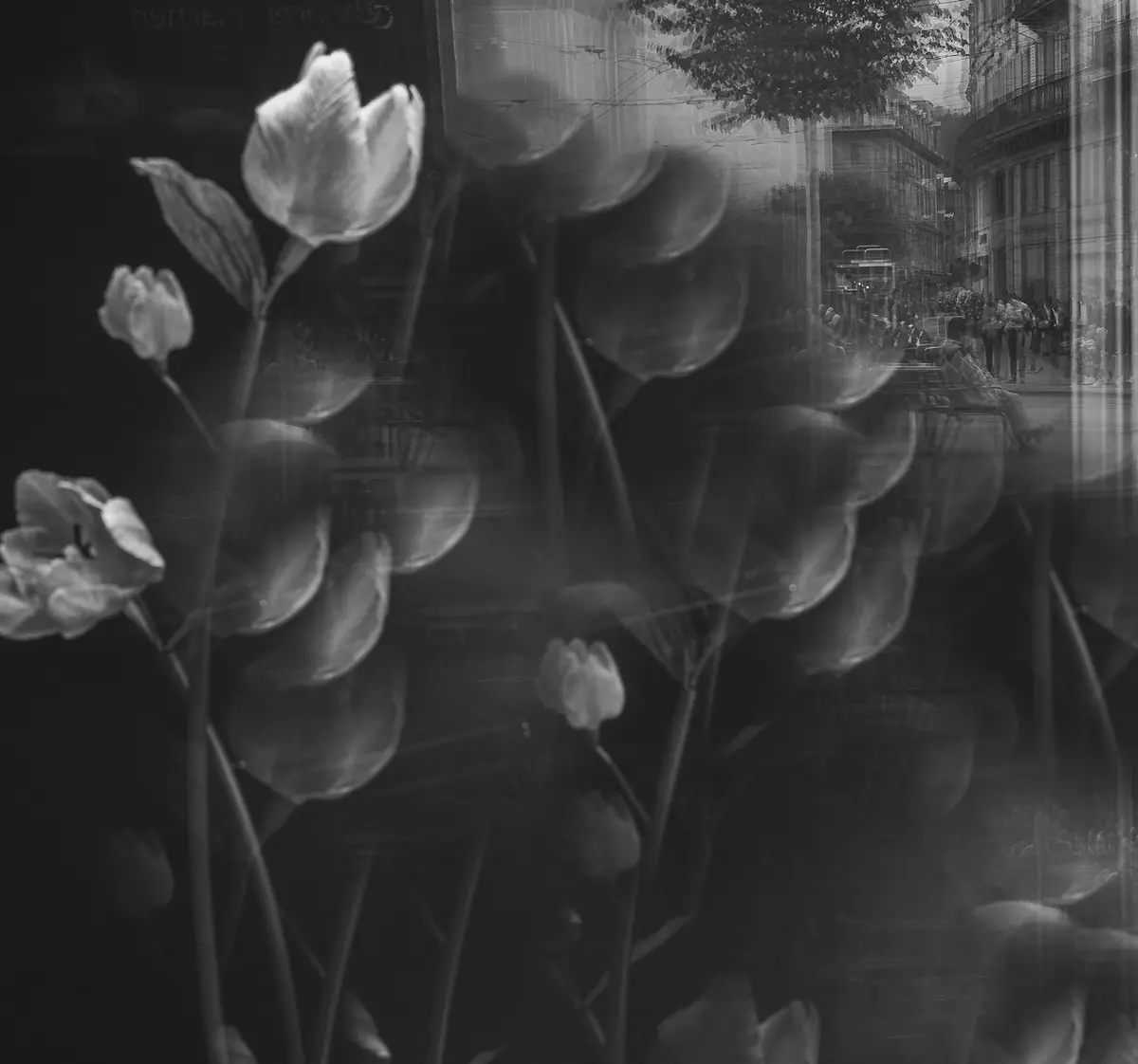 Virgili "Monochrom" I/XXX (2025)