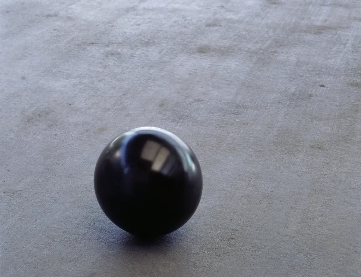 RONI HORN (B. 1955)